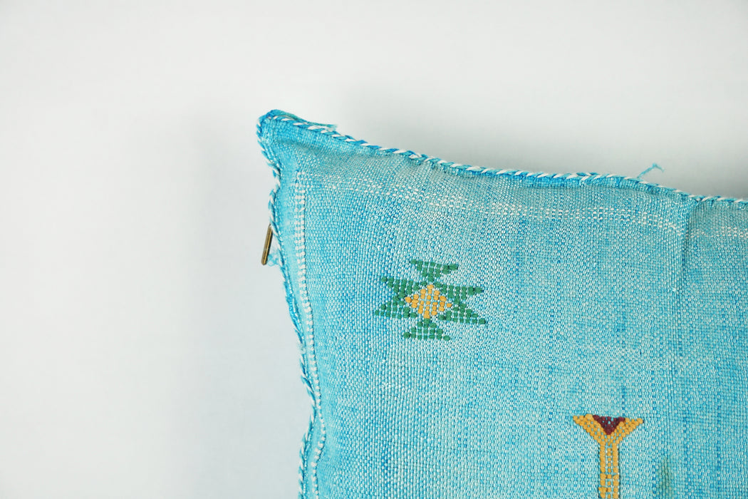 Lovely Moroccan Cactus Pillow cover, Bohemian sabra